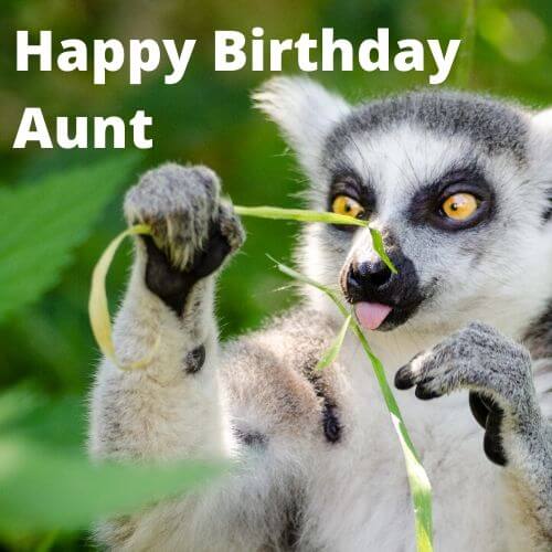 Happy Birthday Aunt funny meme