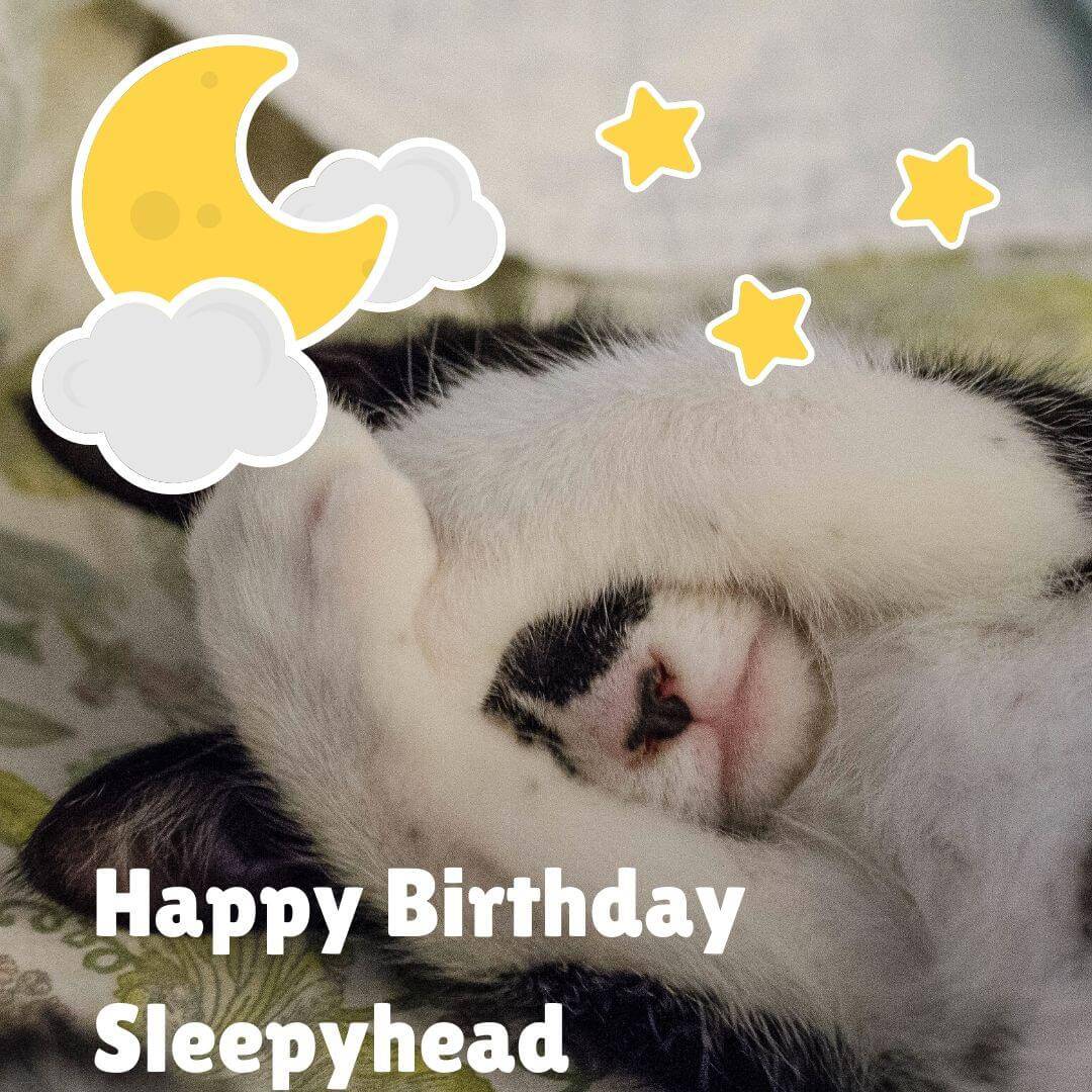 Happy Birthday Sleepyhead