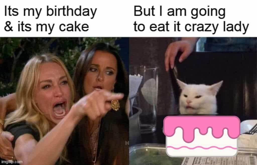 cake cat birthday meme