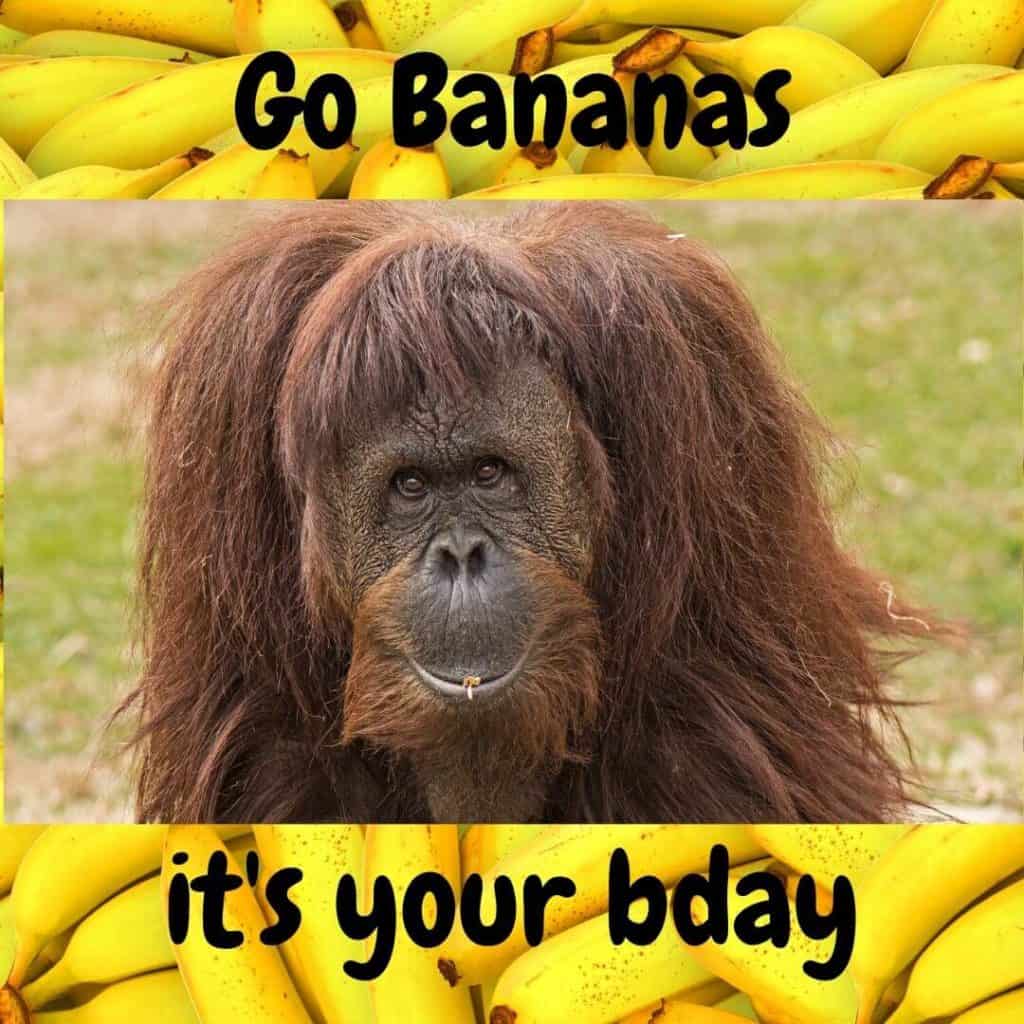 go bananas birthday meme