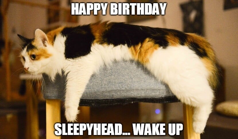 sleepyhead birthday meme