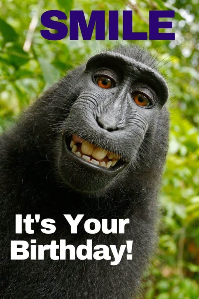 Funny Happy Birthday Memes, Images To Share With Friends