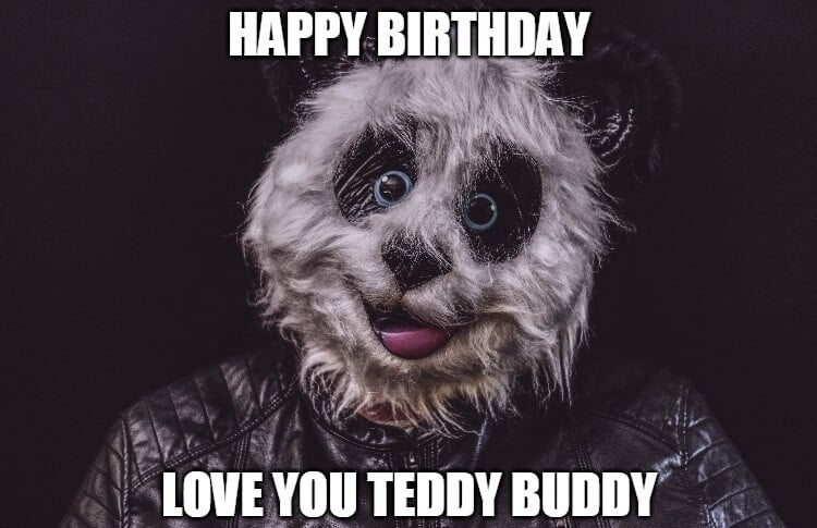 teddy birthday meme
