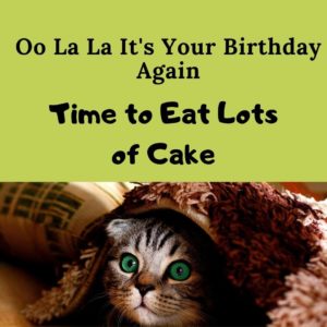 time to eat lots of cake birthday meme
