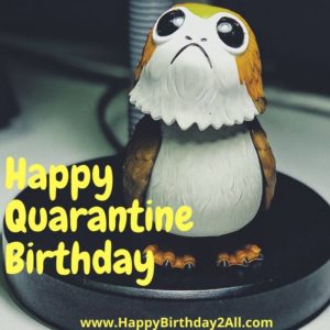 Happy Quarantine Birthday owl