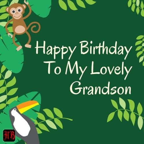 Happy Birthday To My Lovely grandson