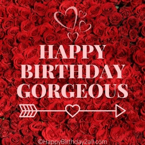 HAPPY BIRTHDAY wish ecard with lots of red roses