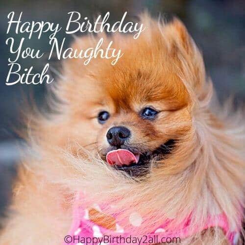 Happy Birthday You Naughty Bitch