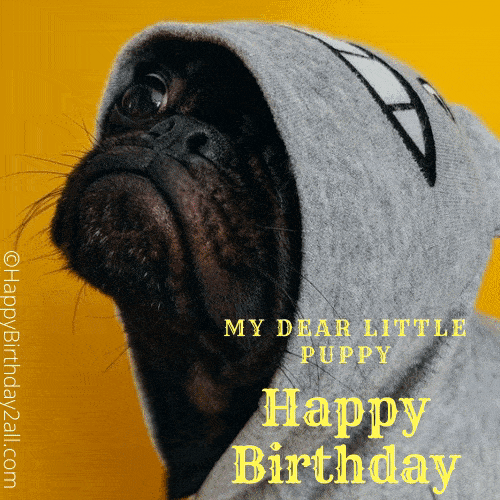 Happy Birthday dog lover