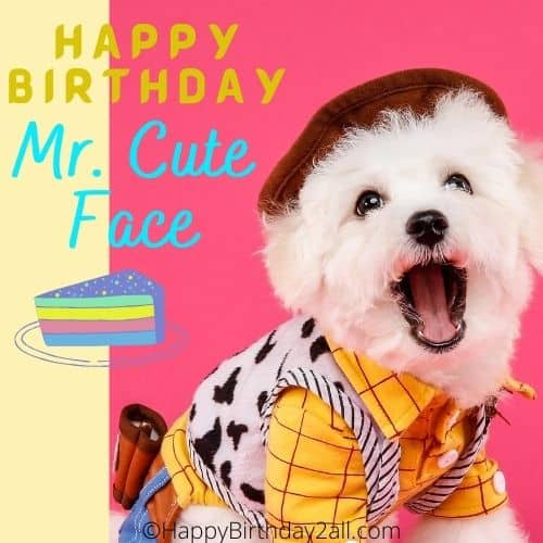 Happy birthday wish for cute dog