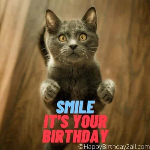 Funny Birthday Wishes, Quotes, Messages, Images