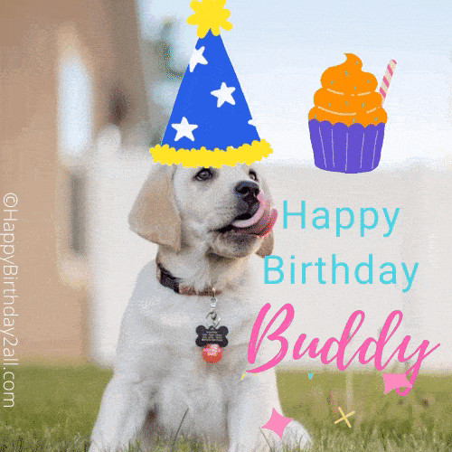 happy birthday dog gif