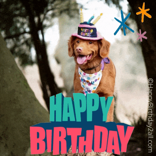Birthday Wishes for Dog, Puppy, Pet Happy Birthday Dog Gif