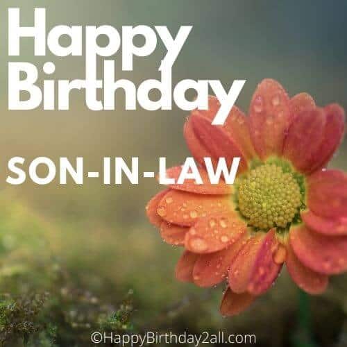 happy birthday son in law