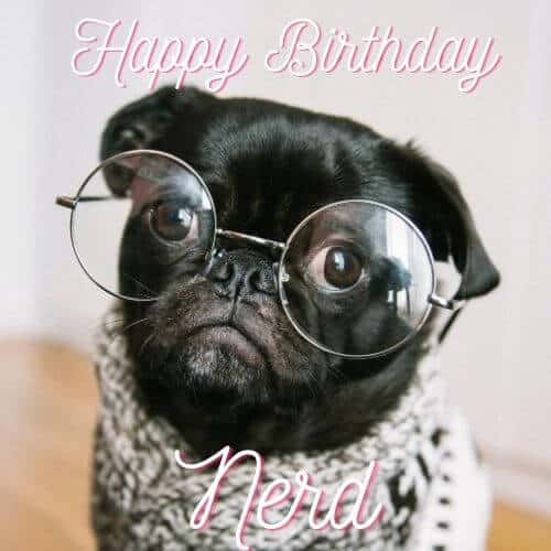 happy birthday wish for Nerd!