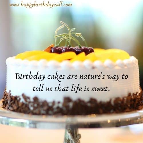 Birthday cakes are nature's