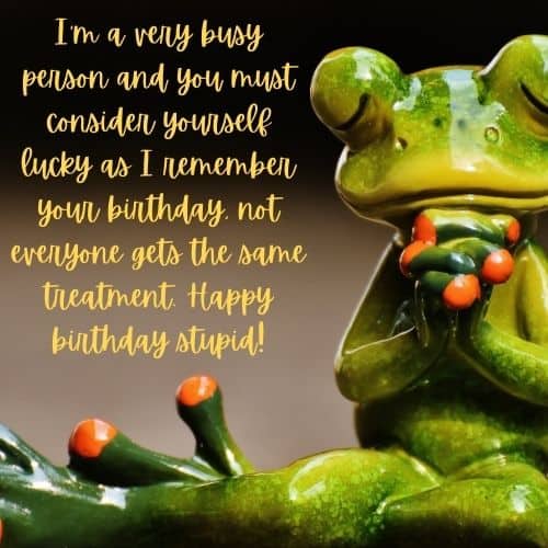 insulting birthday wish