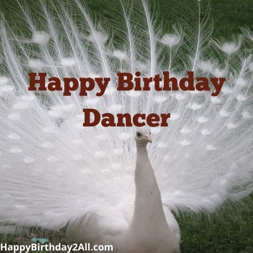 Happy Birthday Dancer