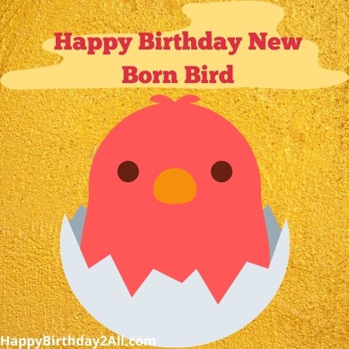 Happy Birthday New Born Bird
