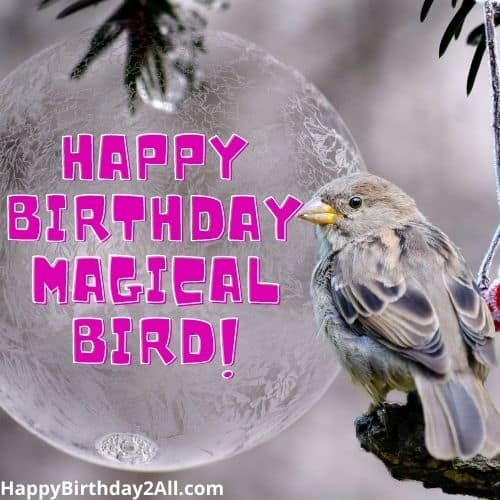 Happy Birthday Magical Bird